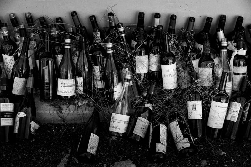 Vin sans sulfites bio 75cl